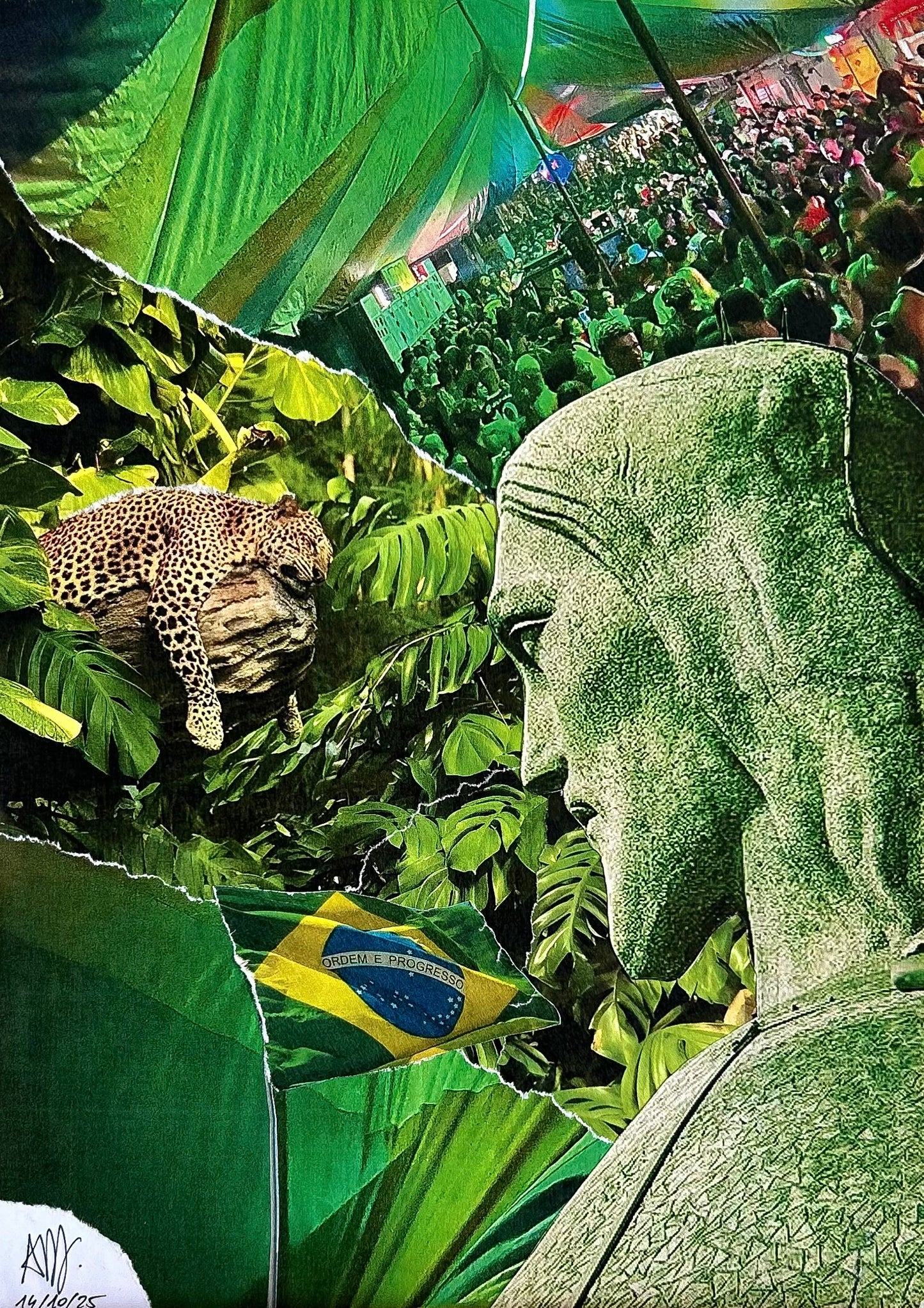 « O verde do Rio »